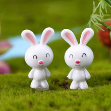 Load image into Gallery viewer, Rabbits